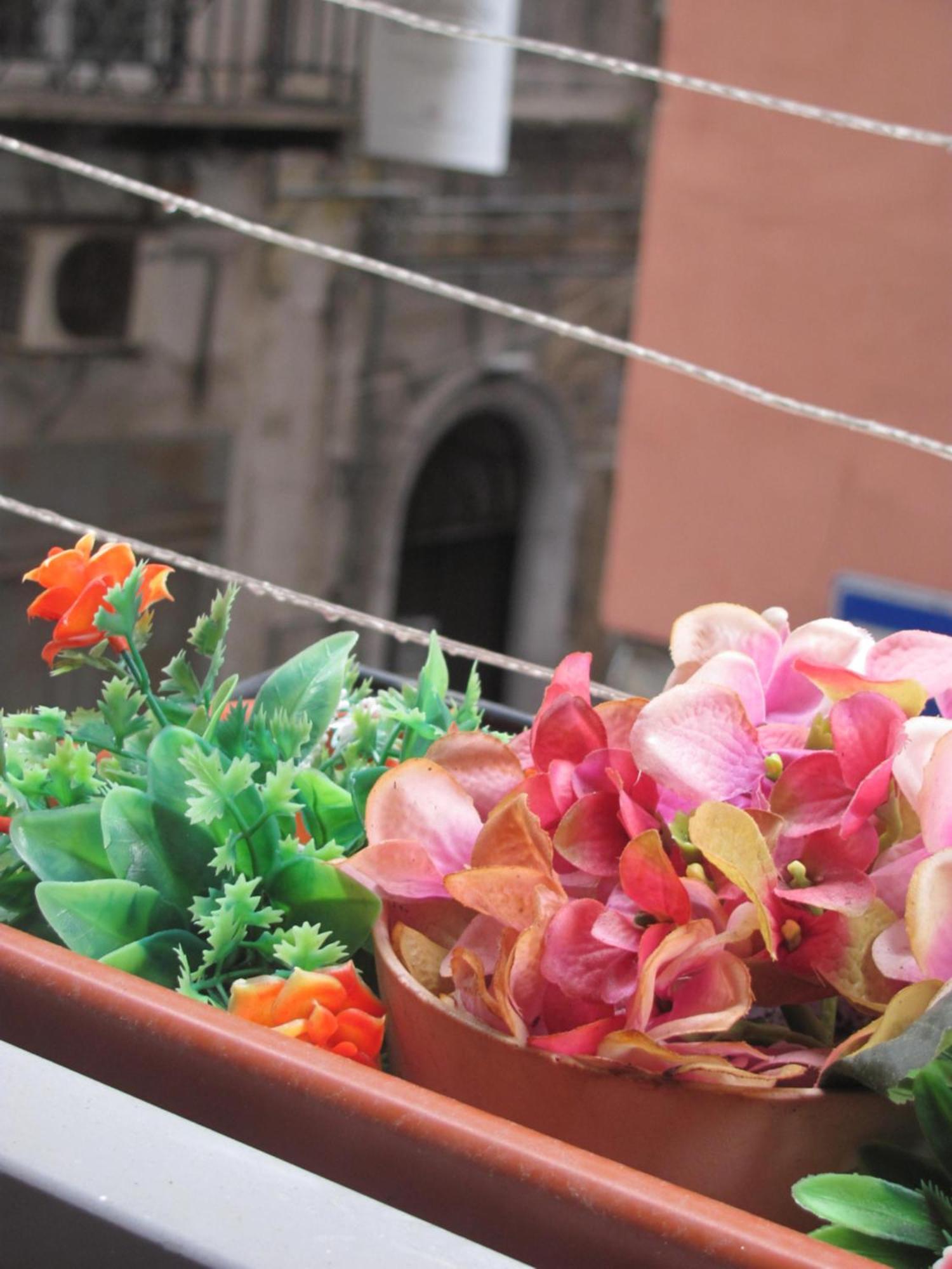 La Conchiglia Napoli Apartment Ngoại thất bức ảnh